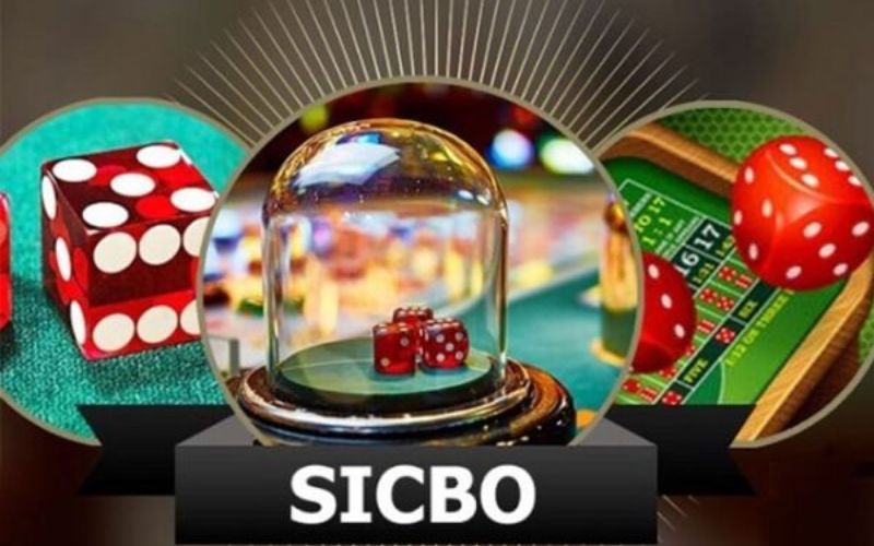 Hướng dẫn chơi game Sicbo online 8Kbet
